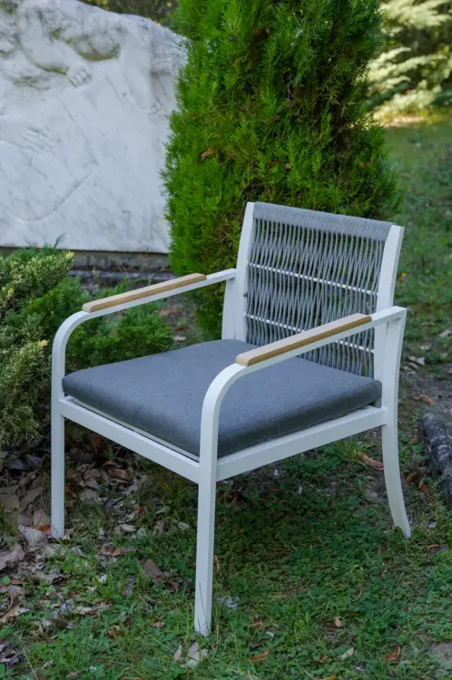 Fotel RARO aluminiowy z poduszką.webp